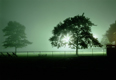 "Night Game"